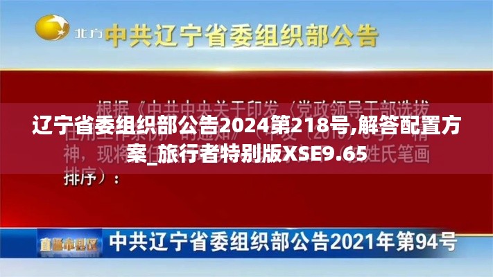 遼寧省委組織部公告2024第218號,解答配置方案_旅行者特別版XSE9.65