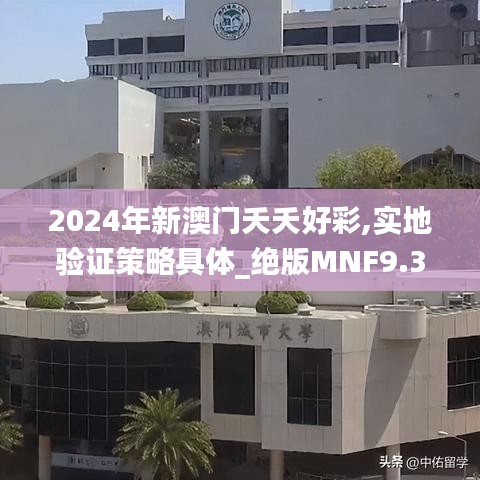 2024年新澳門夭夭好彩,實地驗證策略具體_絕版MNF9.39