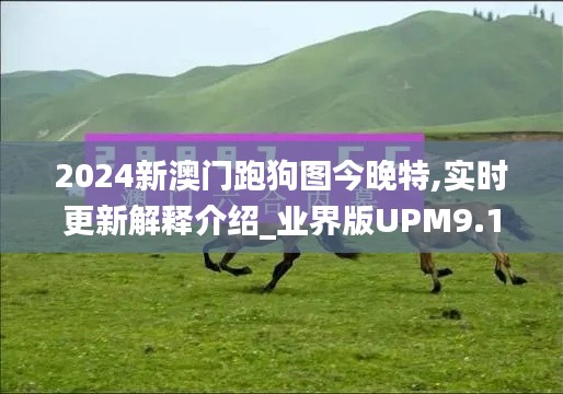 2024新澳門跑狗圖今晚特,實時更新解釋介紹_業界版UPM9.13