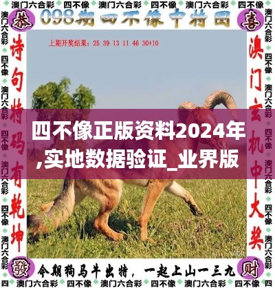 四不像正版資料2024年,實(shí)地?cái)?shù)據(jù)驗(yàn)證_業(yè)界版PEB9.18