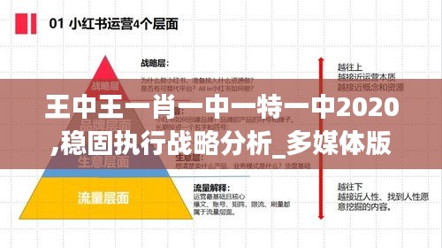 王中王一肖一中一特一中2020,穩固執行戰略分析_多媒體版QBR9.59