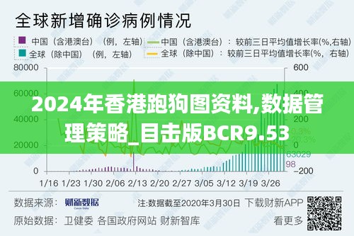 2024年香港跑狗圖資料,數據管理策略_目擊版BCR9.53