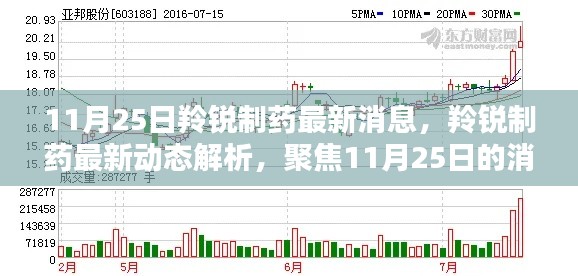 11月25日羚銳制藥最新動態解析，深度探討影響與前景