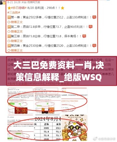 大三巴免費(fèi)資料一肖,決策信息解釋_絕版WSQ9.74