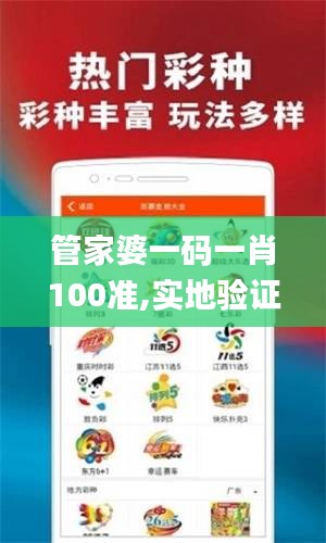 管家婆一碼一肖100準(zhǔn),實(shí)地驗(yàn)證研究方案_PhabletNAN9.48