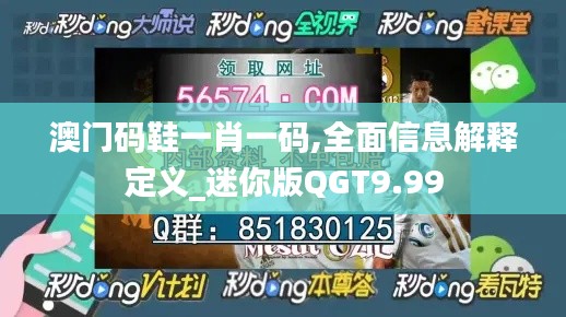 澳門碼鞋一肖一碼,全面信息解釋定義_迷你版QGT9.99