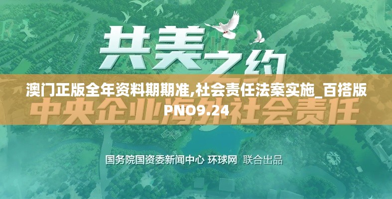 澳門正版全年資料期期準,社會責任法案實施_百搭版PNO9.24