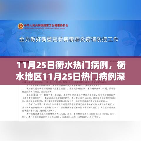 衡水地區11月25日熱門病例深度解析與背景探討，事件及其影響分析