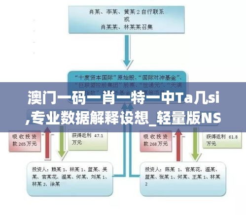 澳門一碼一肖一特一中Ta幾si,專業數據解釋設想_輕量版NSQ9.67