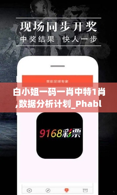 白小姐一碼一肖中特1肖,數據分析計劃_PhabletNOU9.52