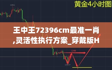 王中王72396cm最準(zhǔn)一肖,靈活性執(zhí)行方案_穿戴版HSV9.34