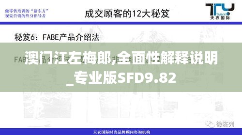 澳門江左梅郎,全面性解釋說明_專業版SFD9.82