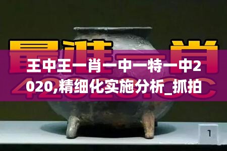 王中王一肖一中一特一中2020,精細(xì)化實施分析_抓拍版XGH9.75