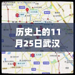 歷史上的11月25日武漢市電子眼分布變遷及其現(xiàn)代影響解析揭秘