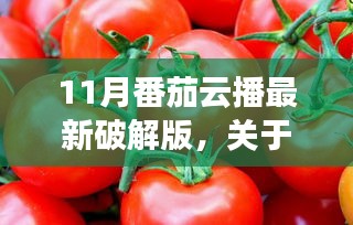 關(guān)于11月番茄云播最新破解版的科普探討與解析