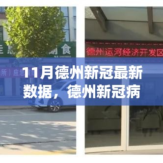 德州新冠病毒疫情最新數據報告（11月版），疫情現狀、變化與應對策略揭秘