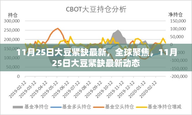 全球聚焦，11月25日大豆緊缺最新動態報告