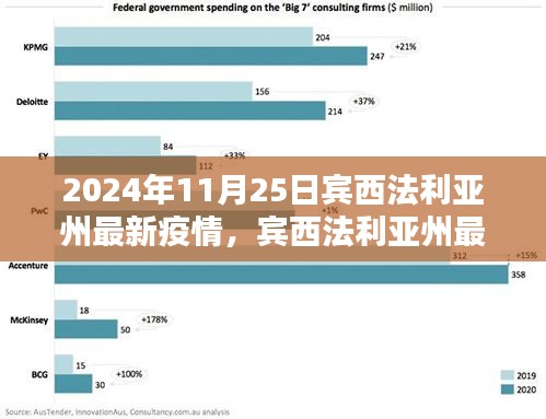 賓西法利亞州最新疫情動態及應對指南，2024年11月25日的防護與應對步驟