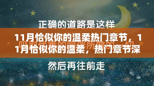 11月恰似你的溫柔熱門章節深度解析與賞析