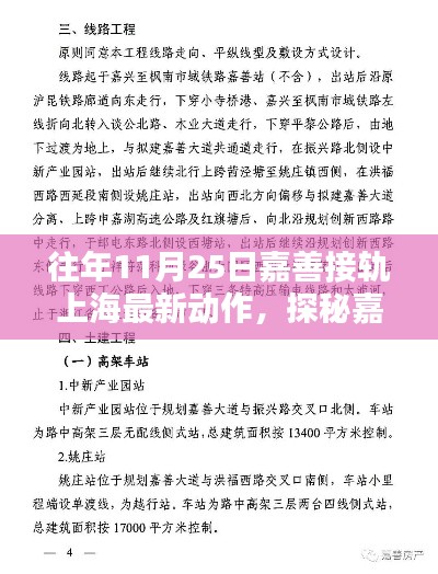 探秘嘉善接軌上海新動態，小巷深處的獨特風味與歷年11月25日最新接軌動作回顧