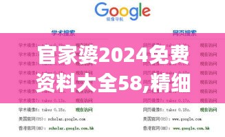 官家婆2024免費資料大全58,精細評估方案_投影版UYL7.43