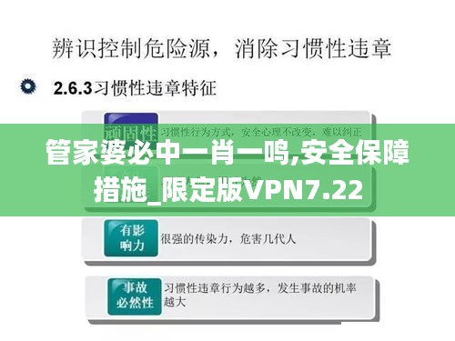 管家婆必中一肖一鳴,安全保障措施_限定版VPN7.22