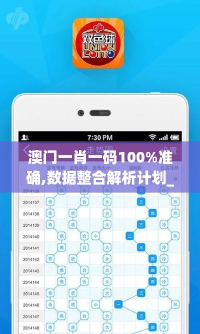 澳門一肖一碼100%準確,數據整合解析計劃_專業版XEK7.66