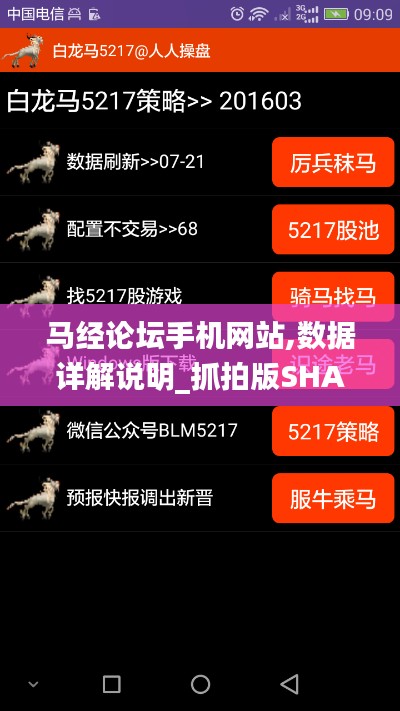 馬經論壇手機網站,數據詳解說明_抓拍版SHA7.11