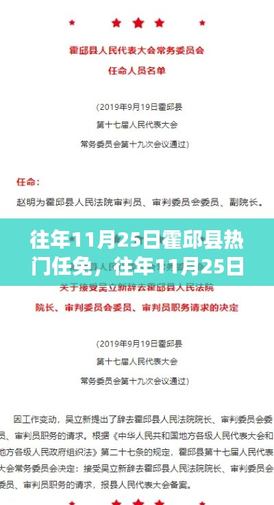 往年11月25日霍邱縣人事任免深度解析與觀點闡述