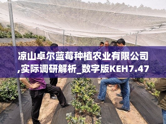 涼山卓爾藍莓種植農業有限公司,實際調研解析_數字版KEH7.47