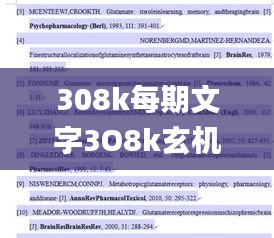 308k每期文字3O8k玄機(jī)資料,實(shí)時(shí)處理解答計(jì)劃_外觀版VUB7.78