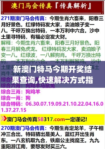 新澳門特馬今期開獎結(jié)果查詢,快速解決方式指南_隨機版AFT7.37