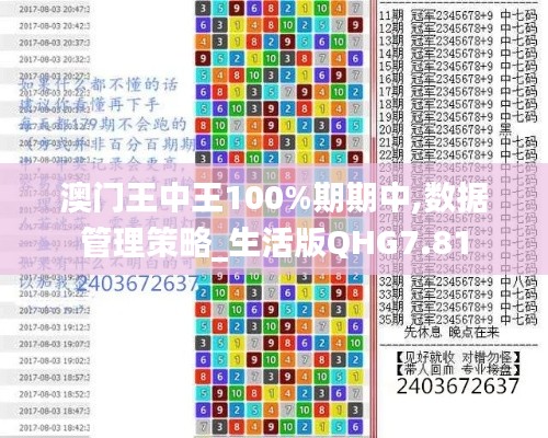 澳門王中王100%期期中,數據管理策略_生活版QHG7.81