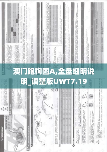 澳門跑狗圖A,全盤細明說明_調整版UWT7.19