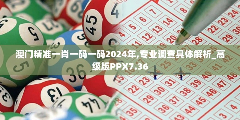 澳門精準一肖一碼一碼2024年,專業調查具體解析_高級版PPX7.36