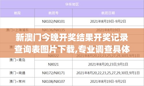 新澳門今晚開獎結果開獎記錄查詢表圖片下載,專業調查具體解析_動感版PFU7.83