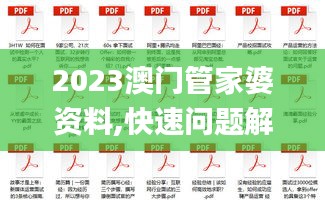 2023澳門管家婆資料,快速問題解答_遠光版VQS7.63