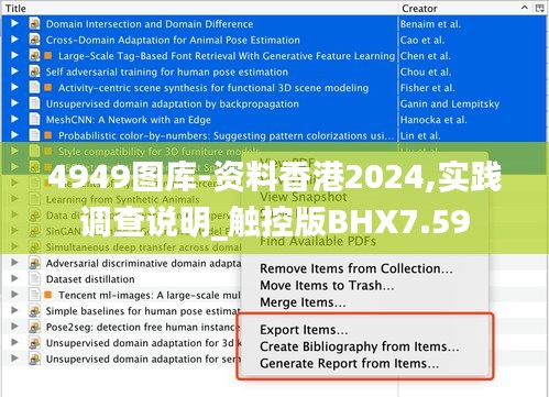 4949圖庫-資料香港2024,實踐調查說明_觸控版BHX7.59