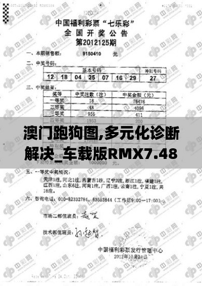 澳門跑狗圖,多元化診斷解決_車載版RMX7.48