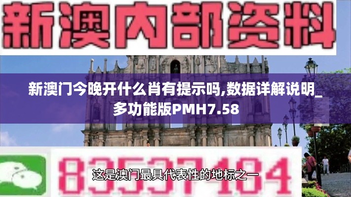 新澳門今晚開什么肖有提示嗎,數據詳解說明_多功能版PMH7.58