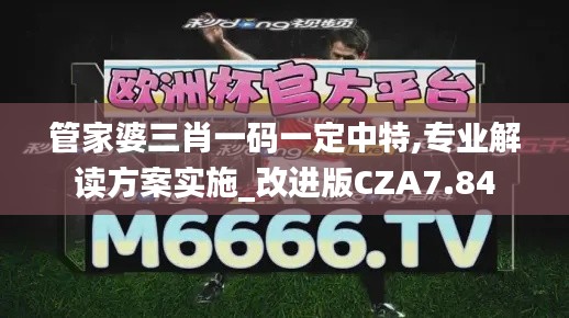 管家婆三肖一碼一定中特,專業解讀方案實施_改進版CZA7.84