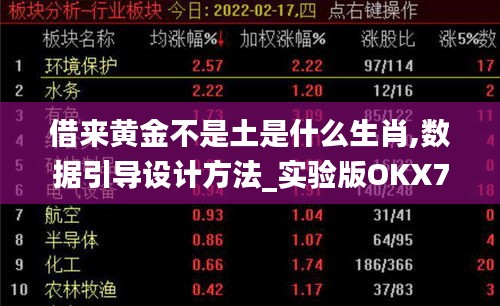 借來黃金不是土是什么生肖,數據引導設計方法_實驗版OKX7.82