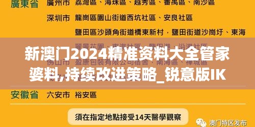 新澳門2024精準資料大全管家婆料,持續改進策略_銳意版IKZ7.66