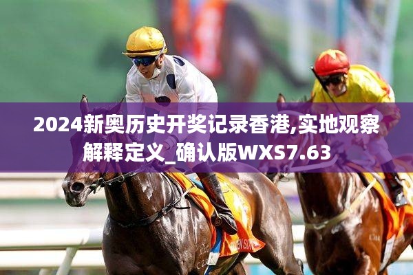 2024新奧歷史開獎記錄香港,實地觀察解釋定義_確認版WXS7.63