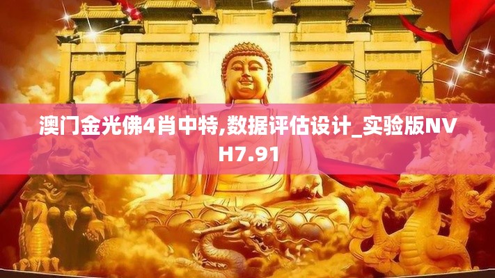 澳門金光佛4肖中特,數據評估設計_實驗版NVH7.91