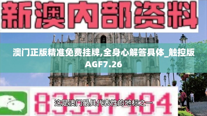 澳門正版精準免費掛牌,全身心解答具體_觸控版AGF7.26