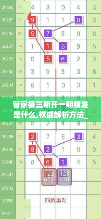 管家婆三期開一期精準是什么,權威解析方法_天然版NPV7.3