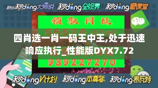 四肖選一肖一碼王中王,處于迅速響應(yīng)執(zhí)行_性能版DYX7.72