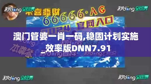 澳門管婆一肖一碼,穩固計劃實施_效率版DNN7.91