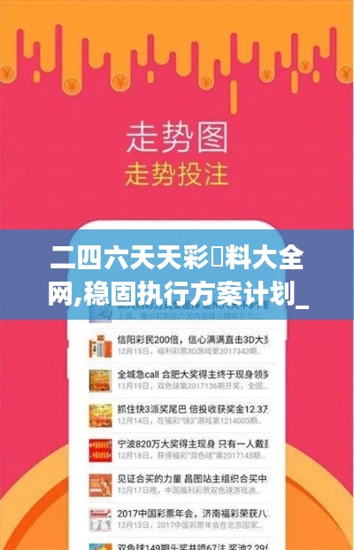 二四六天天彩資料大全網,穩固執行方案計劃_網絡版IBX7.8